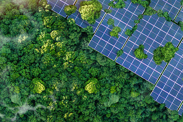 Difusión científica